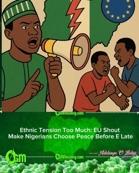 European Union Don Warn Nigerians: Stop Ethnic War Now Before E Scatter the Country