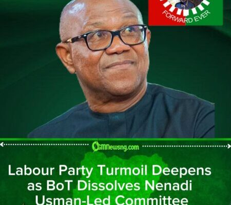 Crisis Hits Obi-Aligned Labour Party Faction as BoT Sacks Interim Leadership