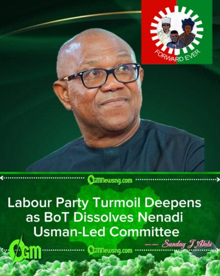 Crisis Hits Obi-Aligned Labour Party Faction as BoT Sacks Interim Leadership