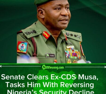 Senate Confirms General Musa as Defence Minister Amid Rising Insecurity