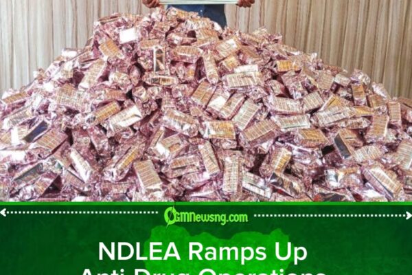 NDLEA Destroys Illicit Drug Warehouses in Ekiti, Ondo Forests