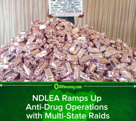 NDLEA Destroys Illicit Drug Warehouses in Ekiti, Ondo Forests