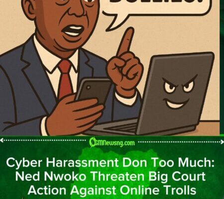 Ned Nwoko Blow Hot: Senator Vows Legal Action as Cyber Bullies Attack Am Online