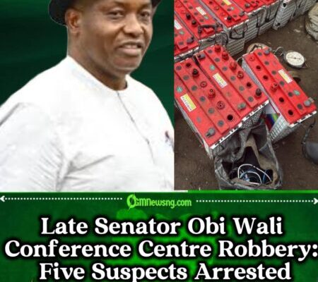 Late Senator Obi Wali Conference Centre Robbed, Suspects From Four States Arrested