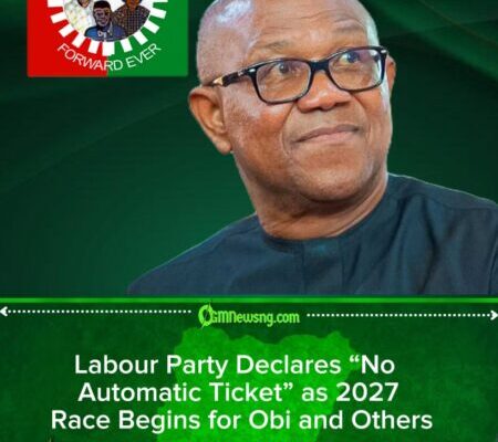 LP Rules Out Automatic 2027 Ticket for Obi as Party Insists on Competitive Primaries