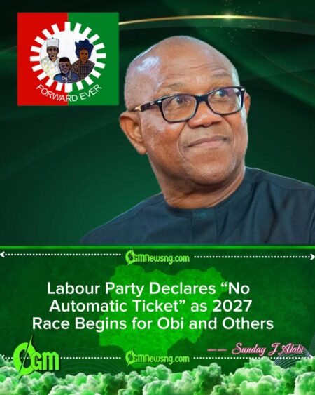 LP Rules Out Automatic 2027 Ticket for Obi as Party Insists on Competitive Primaries