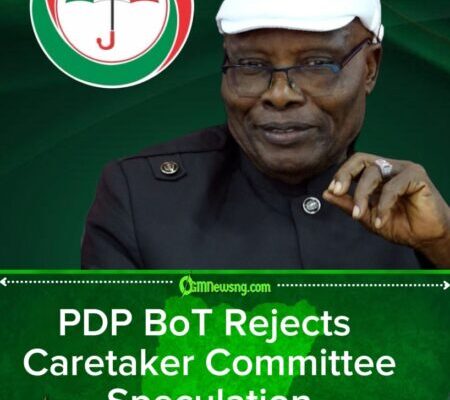 PDP Not Contemplating Caretaker Committee Arrangement – Wabara