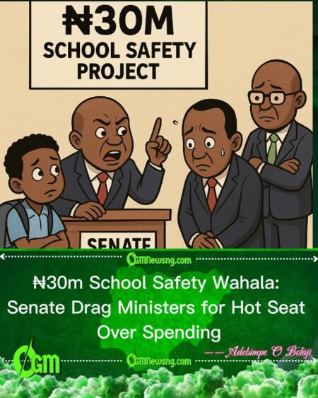 Senate Query Ministers as ₦30m School Safety Money Vanish, Ask for Clear Account