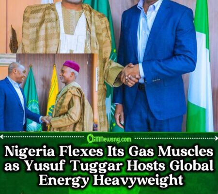 Storm Brews in Abuja as Yusuf Tuggar Courts Gas Mogul with Red-Carpet Welcome