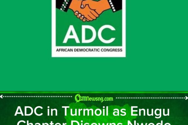 2027: Crisis Hits Enugu ADC as Stakeholders Battle Nwodo, Others