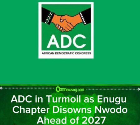 2027: Crisis Hits Enugu ADC as Stakeholders Battle Nwodo, Others