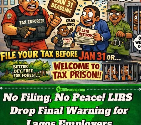LIRS Drop Hammer: File Your Annual Tax Returns Before Jan 31, 2026 or Face Gbas Gbos for Lagos