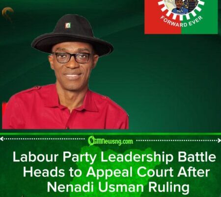 Labour Party Leadership Crisis Deepens as Abure Group Vows to Appeal Judgment Recognising Nenadi Usman