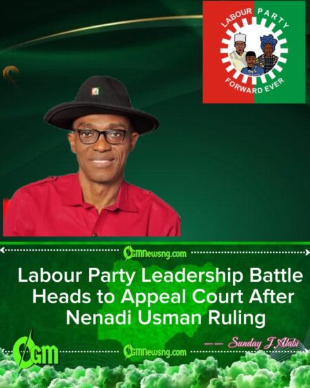 Labour Party Leadership Crisis Deepens as Abure Group Vows to Appeal Judgment Recognising Nenadi Usman