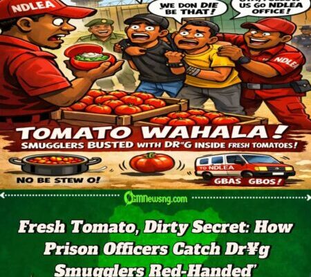 Tomato No Be Stew Again: NDLEA Catch ‘Partners in Crime’ as Dr¥g Hide Inside Fresh Tomatoes Enter Ondo Prison