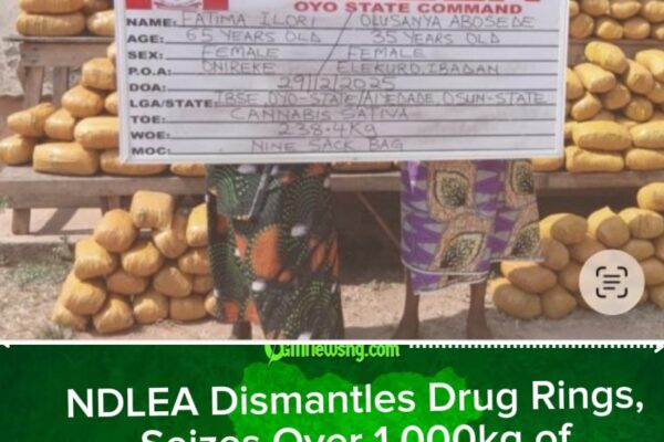 NDLEA Strikes Major Drug Syndicates, Intercepts Cocaine and Skunk Across Nigeria