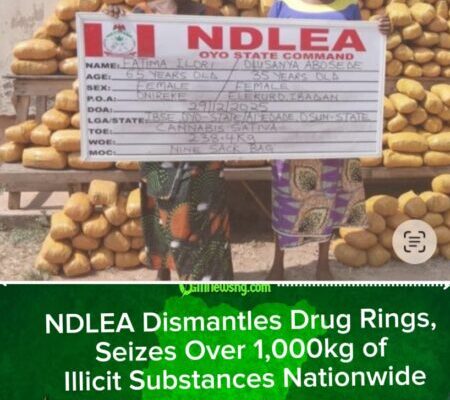 NDLEA Strikes Major Drug Syndicates, Intercepts Cocaine and Skunk Across Nigeria