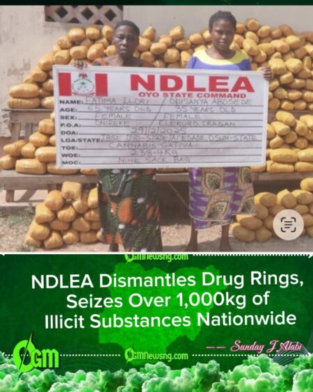 NDLEA Strikes Major Drug Syndicates, Intercepts Cocaine and Skunk Across Nigeria