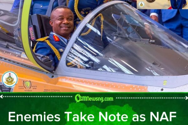 Nigerian Air Force Eyes Italian M-346 Muscle: From Runway to Runway