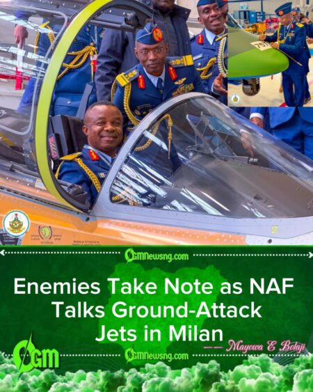 Nigerian Air Force Eyes Italian M-346 Muscle: From Runway to Runway