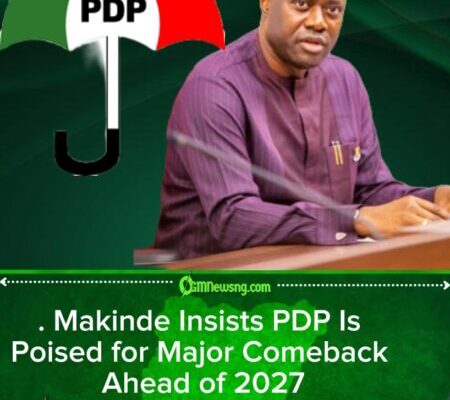 2027: PDP Is Well and Alive, Will Shock Critics — Makinde