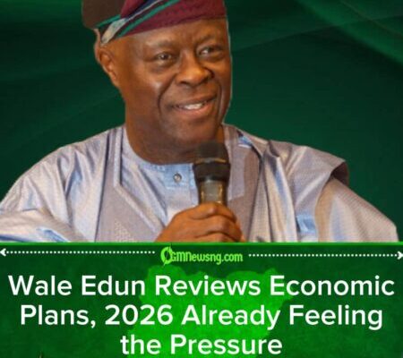 Wale Edun and Team Discuss Numbers Nigerians Hope Will Behave