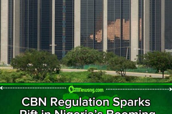 CBN Regulation Sparks Rift in Nigeria’s Booming Fintech Sector for stability