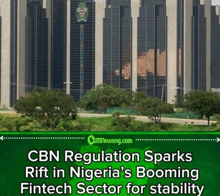 CBN Regulation Sparks Rift in Nigeria’s Booming Fintech Sector for stability