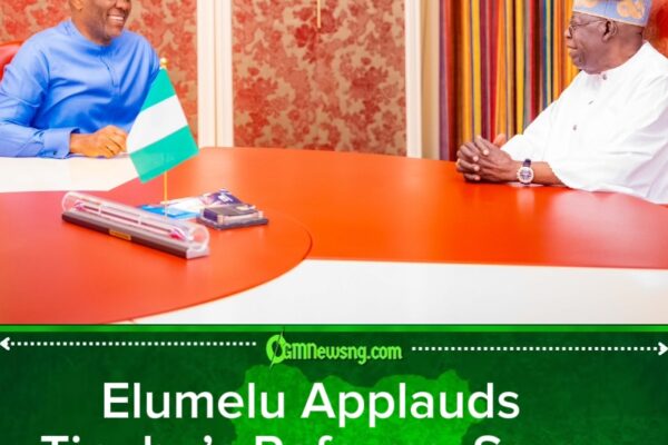 Elumelu Meets Tinubu, Says Foreign Exchange Scarcity Era Over