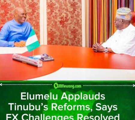 Elumelu Meets Tinubu, Says Foreign Exchange Scarcity Era Over