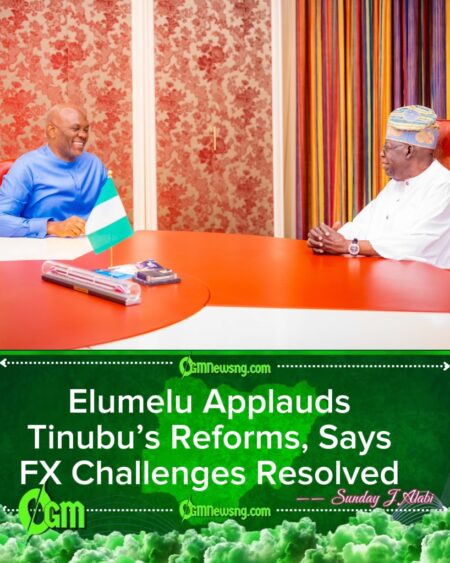 Elumelu Meets Tinubu, Says Foreign Exchange Scarcity Era Over