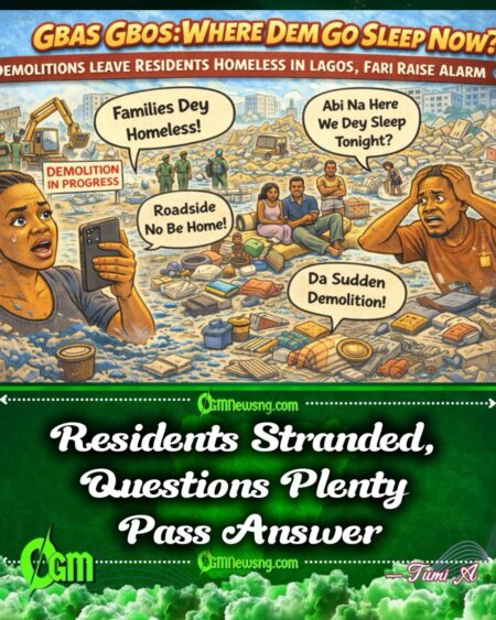 Content Creator Fari Cry Out as Demolition Scatter Families for Lagos, Silverbed Road Turn Open Compound