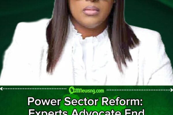 Federal Government Urged to Scrap Electricity Subsidies for All Customers