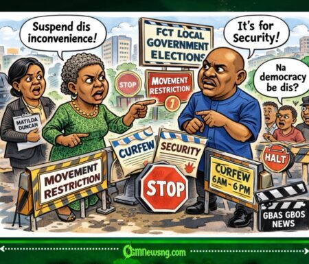 FCT Election Wahala: Senator Ireti Kingibe Blast Wike Over Movement Restriction Before Council Poll