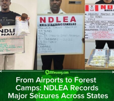 NDLEA Foils Multi-State Drug Smuggling Attempts, Arrests Airport Couriers