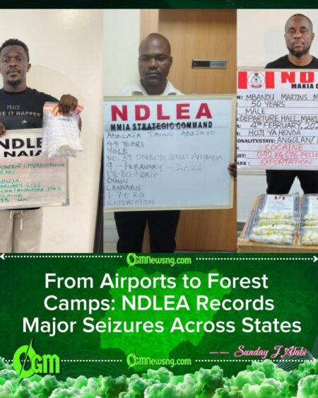NDLEA Foils Multi-State Drug Smuggling Attempts, Arrests Airport Couriers