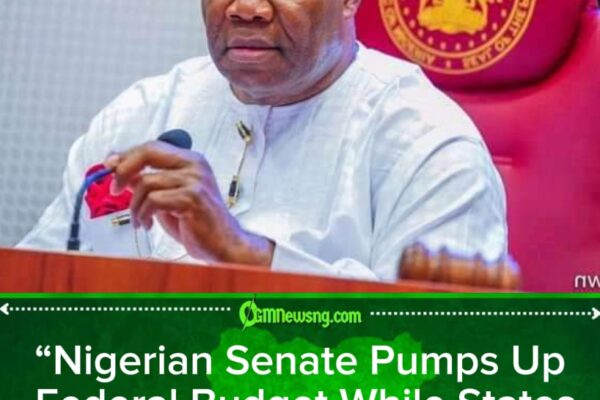 Nigerian Senate Expands Federal Wallet, States Cry Poverty