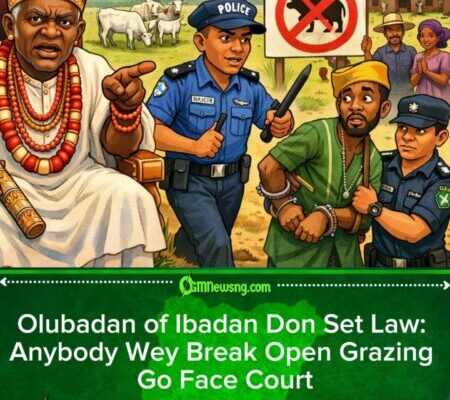 Olubadan Reaffirm Ban On Open Cattle Grazing For Ibadan, Warn Say Anybody Wey Break Law Go Face Court