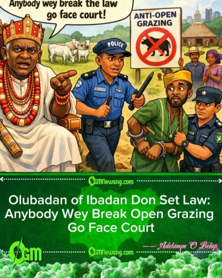 Olubadan Reaffirm Ban On Open Cattle Grazing For Ibadan, Warn Say Anybody Wey Break Law Go Face Court