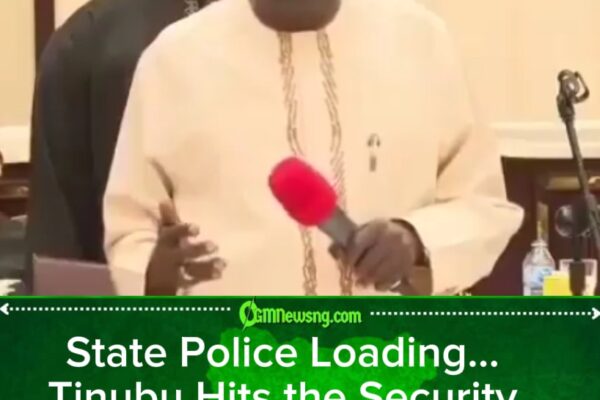 President Bola Ahmed Tinubu Promises State Police to Tackle Insecurity