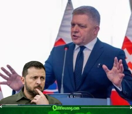 Slovakia Pauses Emergency Electricity Support to Ukraine Following Capacity Review