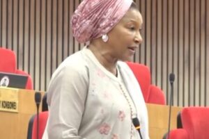 ADC Ward Takes Legal Action to Stop Senator Ireti Kingibe From Claiming Party Membership After Suspension