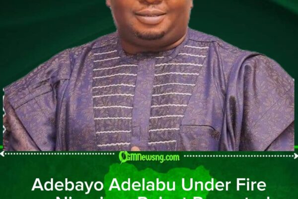 Minister Adebayo Adelabu Assures Citizens of Efforts to Restore Electricity