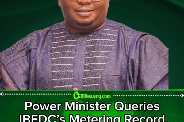 Adelabu Faults IBEDC Over Poor Meter Rollout, Warns of Revenue Losses