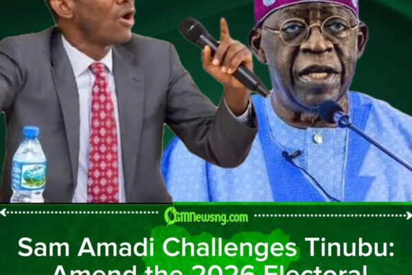 Public policy expert Sam Amadi Suggests Nigeria Try “Express Delivery” for Electoral Reform