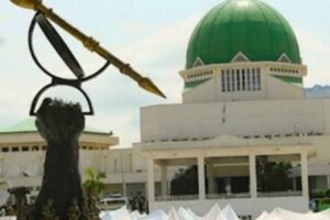 Reps Committee Threatens Arrest Warrant for Heads of Customs, NIMASA, NPA Over Alleged Non-Compliance