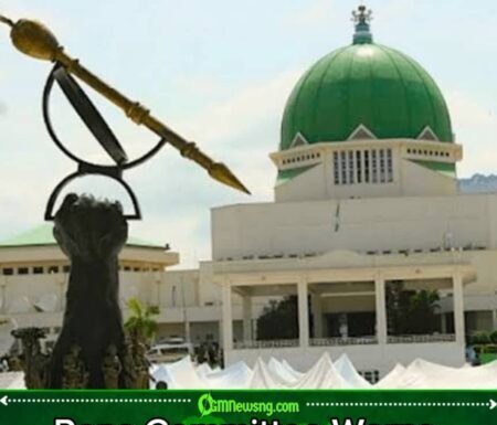 Reps Committee Threatens Arrest Warrant for Heads of Customs, NIMASA, NPA Over Alleged Non-Compliance