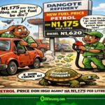 Petrol Wahala: Dangote Petroleum Refinery Jack Price Reach N1,175 Per Litre Again — Nigerians Dey Shout “Na Wetin Be Dis?