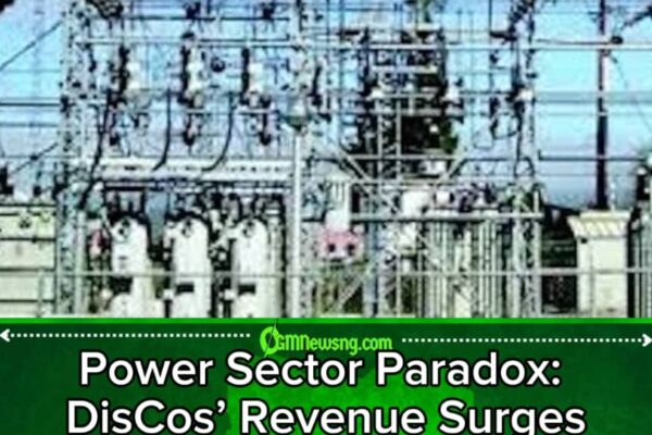 DisCos Pocket N2.3tn Despite Erratic Power Supply