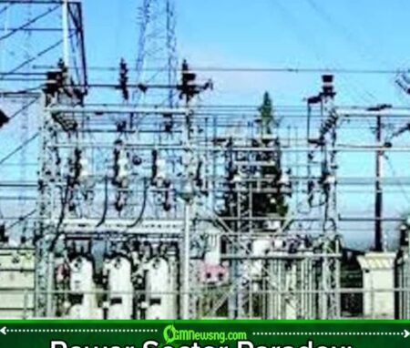 DisCos Pocket N2.3tn Despite Erratic Power Supply
